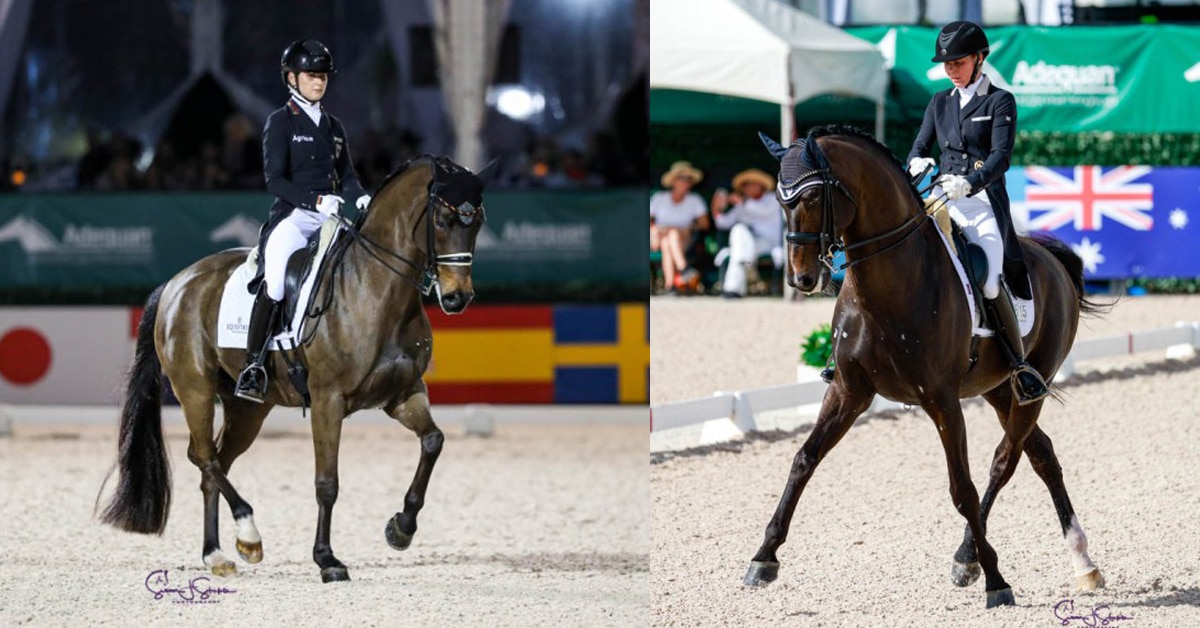 Two dressage riders competing in the arena.