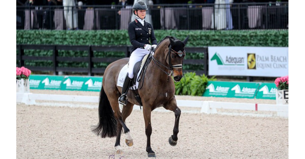A dressage horse and rider in the ring.