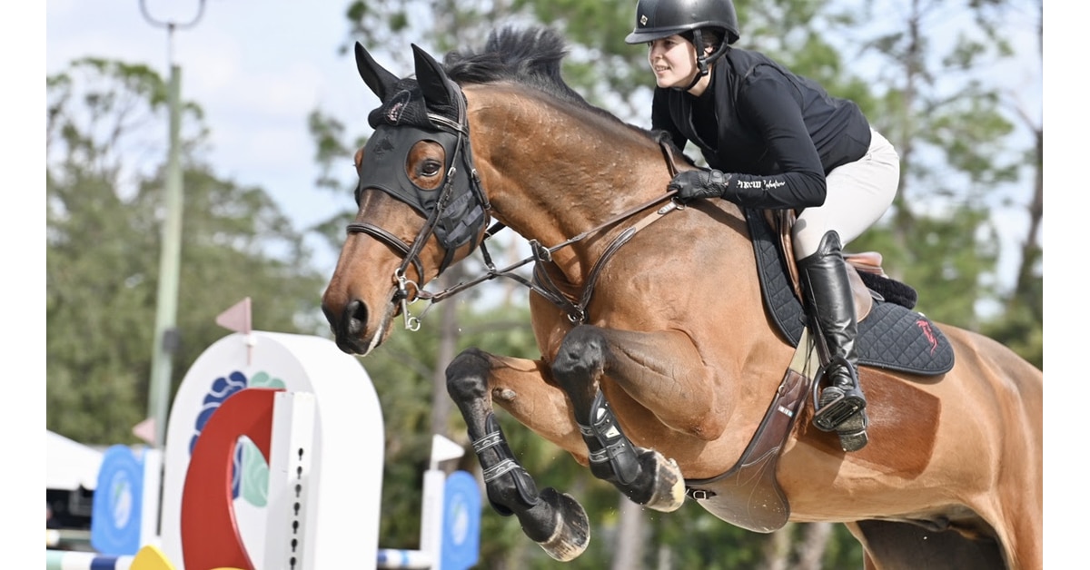 A horse and rider jumping in Florida.