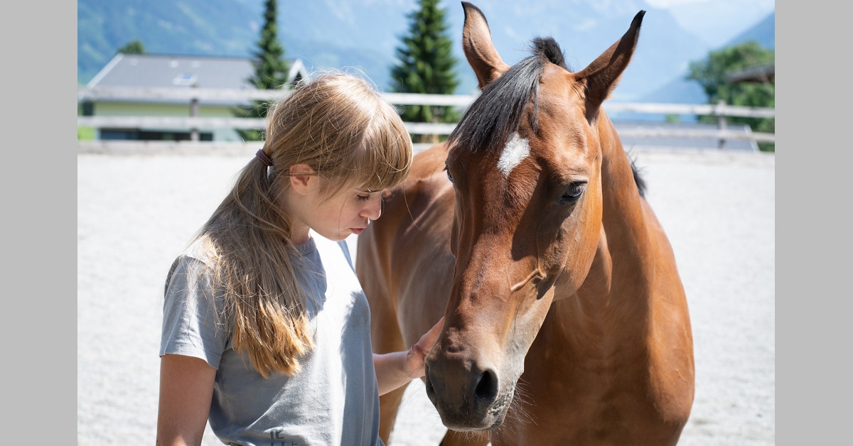 Thumbnail for The Language of Horses: A Free Youth Course