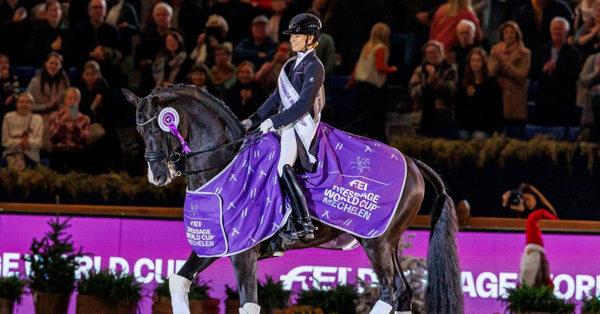 A woman riding a black dressage horse wearing a purple blanket.