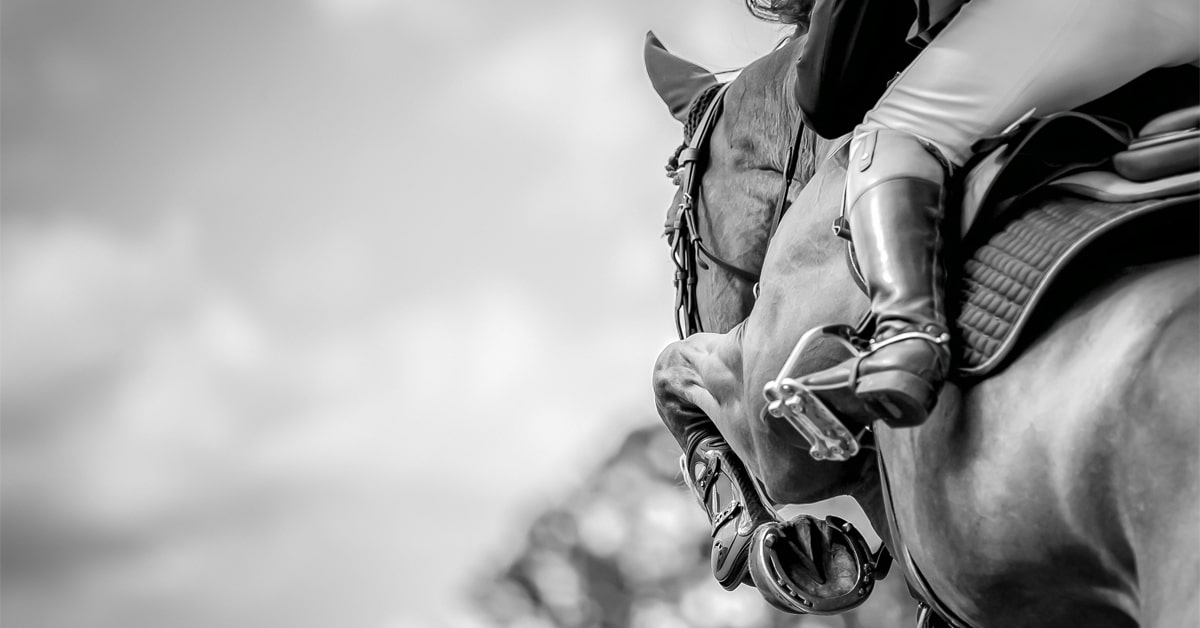 Thumbnail for WHW Conference: Public Acceptance of Equestrianism