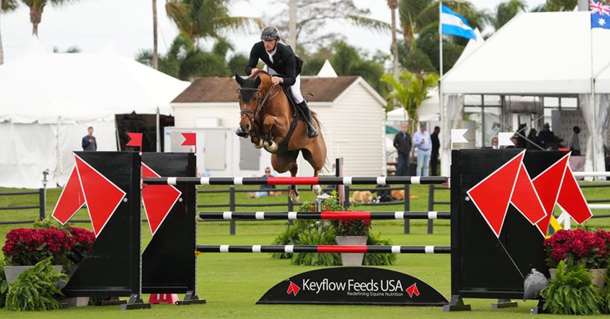 A horse and rider jumping a fence at WEF.