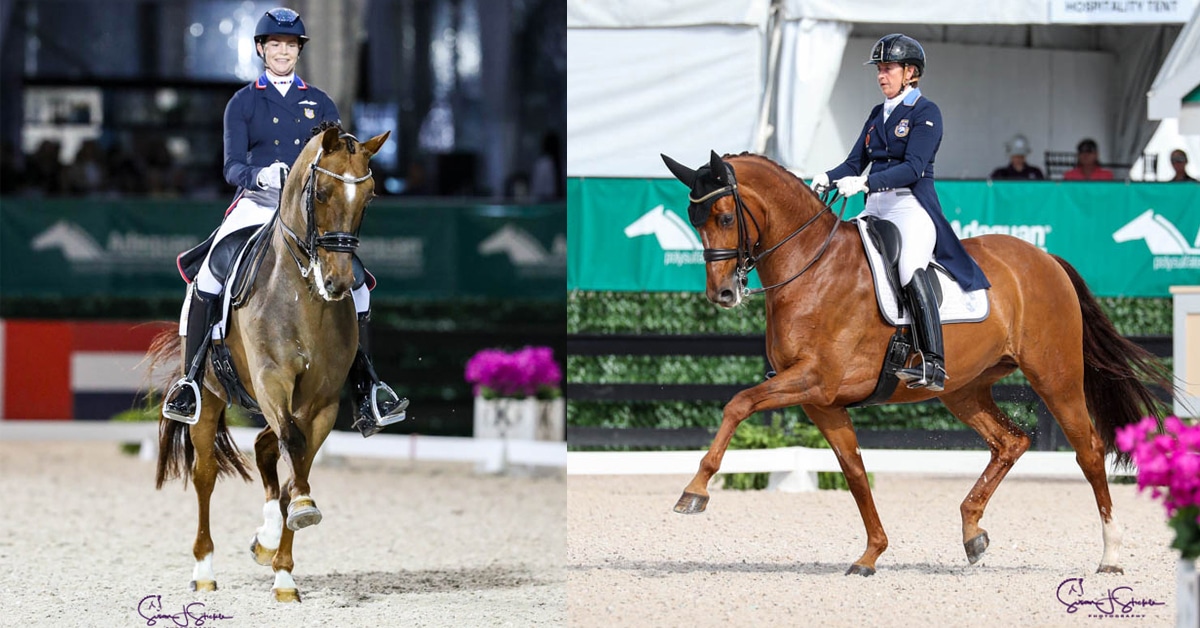 Two horses and riders competing in a dressage arena.