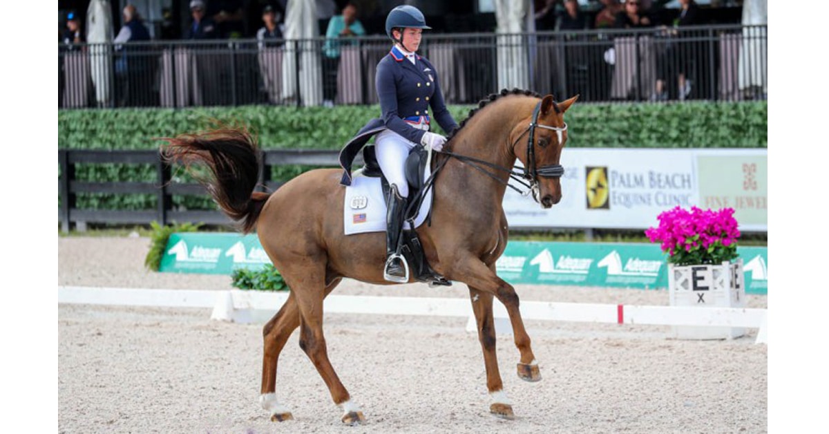 A woman riding a dressage horse in an arena.