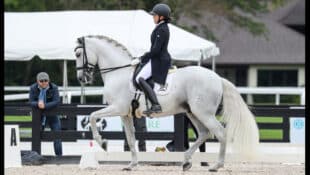 A woman riding a grey dressage horse in the arena.