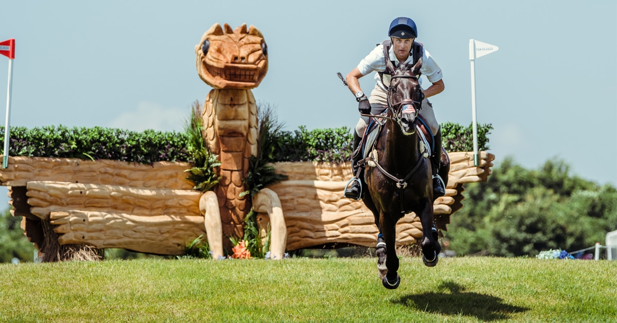 A horses and rider on the eventing cross-country in Tokyo.