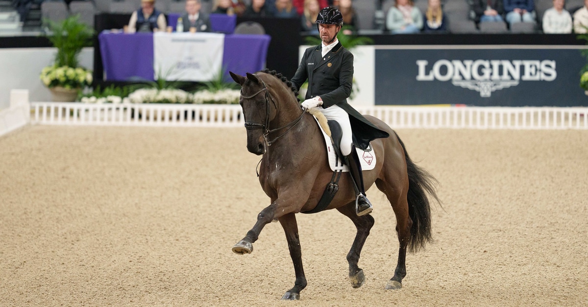 A horse performing extended trot in a dressage arena.