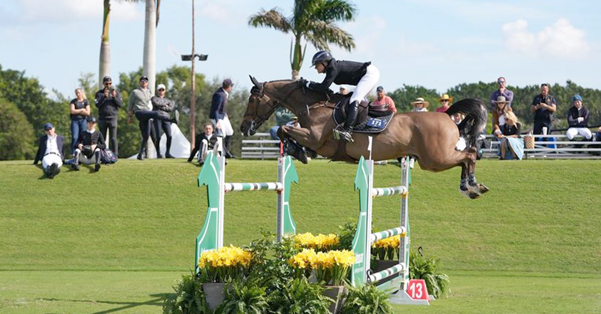 A horse and rider jumping a fence in the derby field at WEF.