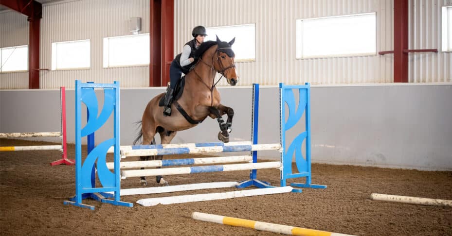 A horse and rider jumping through a grid.
