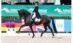 A dressage horse and rider competing at AGDF.