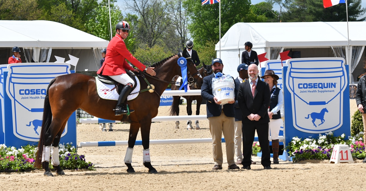 A horse and rider in a prize-giving ceremony.