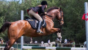 A horse and rider jumping a fence.