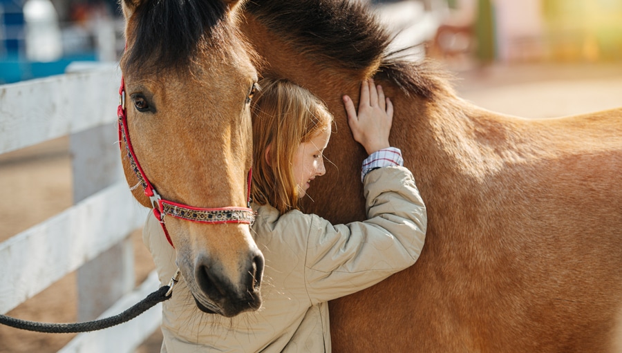 A girl hugging a horse.