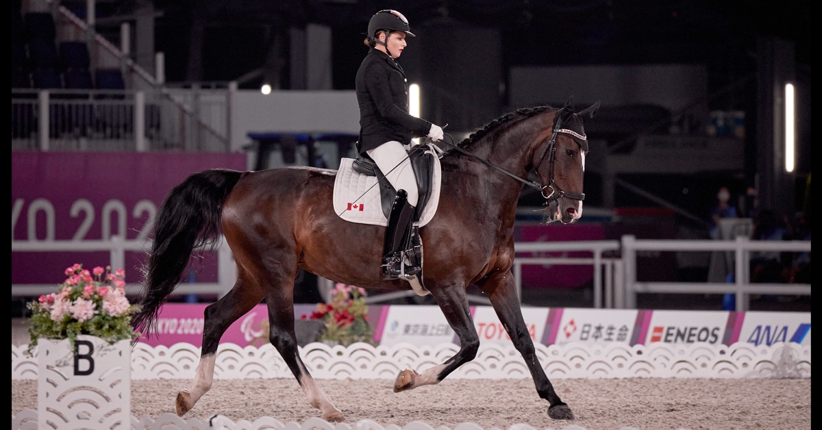 A horse and rider performing dressage at the Para Olympics.