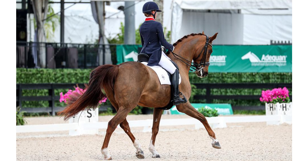A woman riding a chestnut mare in a dressage arena.