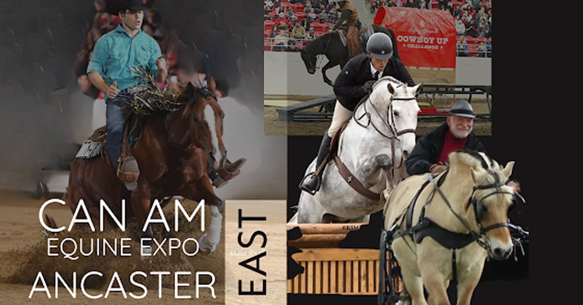 Thumbnail for Now On! Can-Am All Breeds Equine Expo