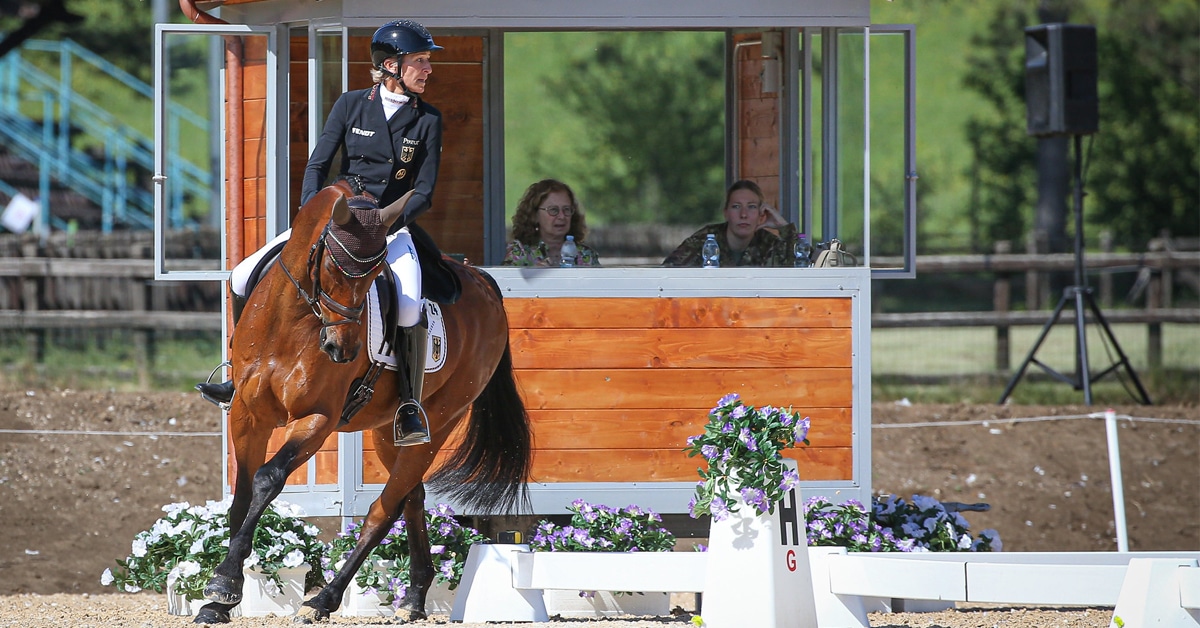 A dressage rider and judges.