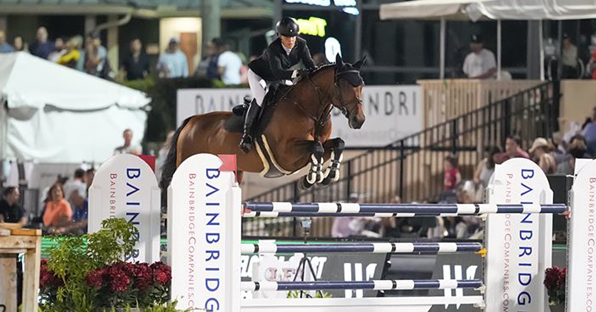 A horses and rider jumping a fence at WEF.