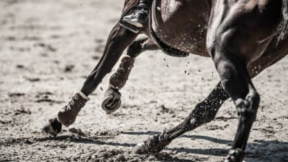 Closeup of a horse's legs galloping and turning.