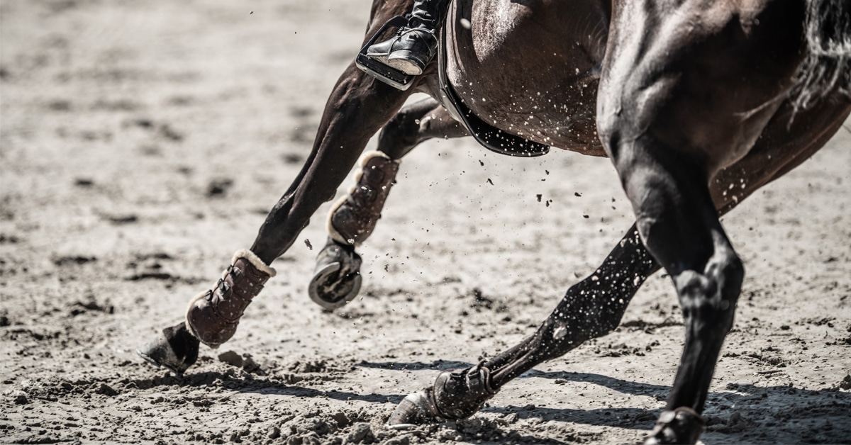 Closeup of a horse's legs galloping and turning.