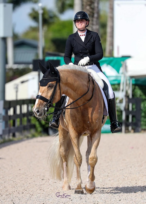 A woman walking a horse in a dressage arena.