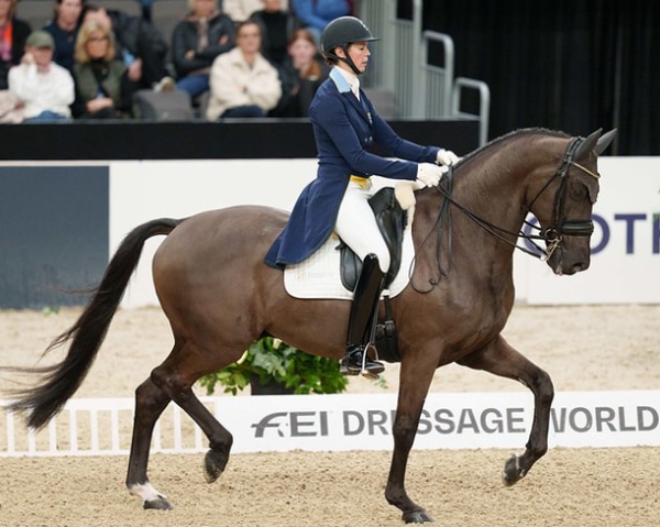 A horse and rider performing in a dressage arena.