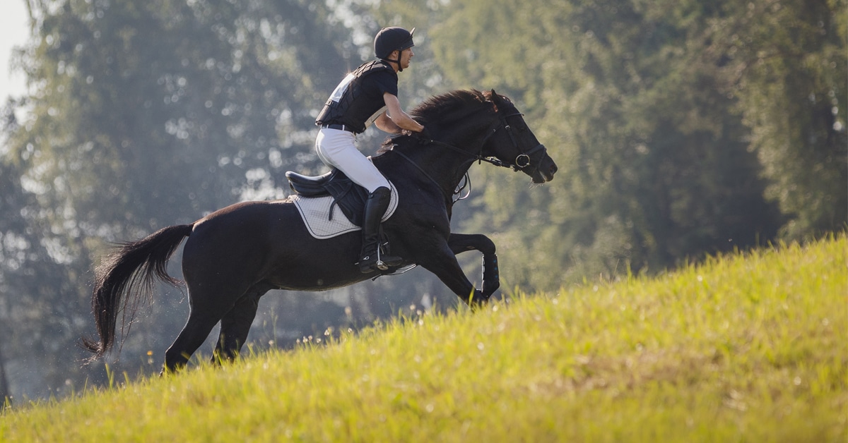 Thumbnail for Eventing Seeks More Proactivity to Stop Struggling Horses