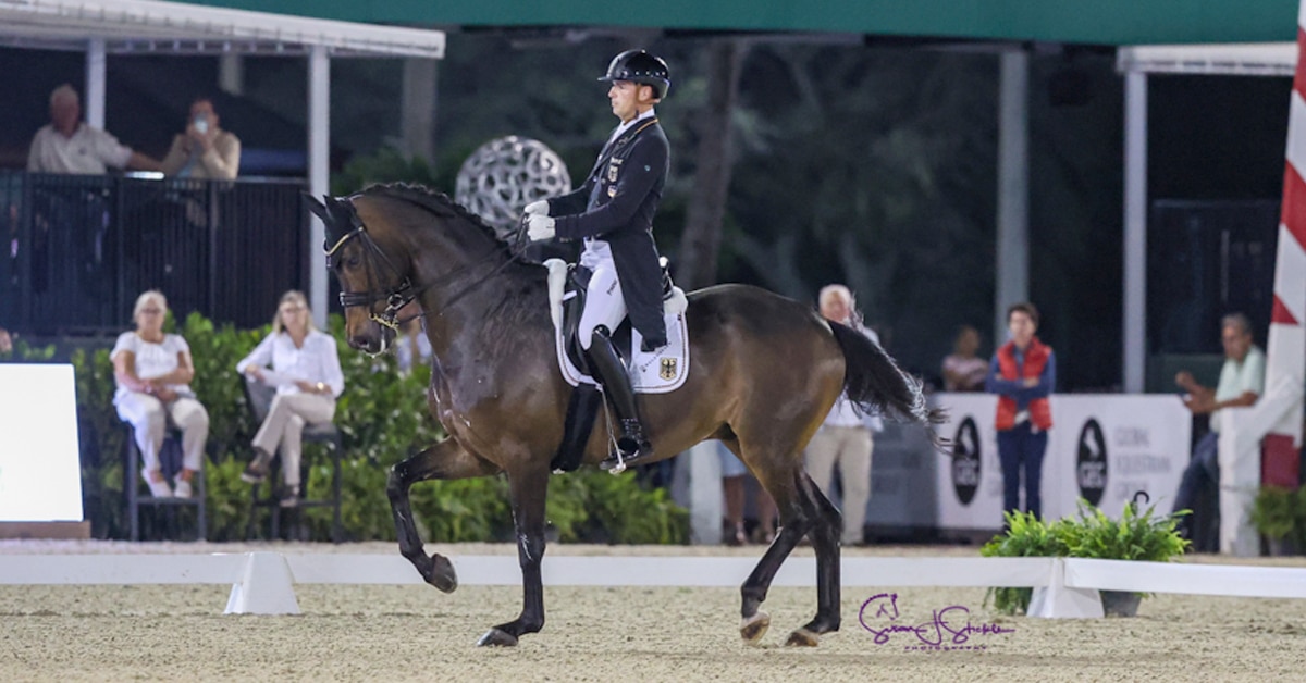 A horse and rider performing in a dressage arena.