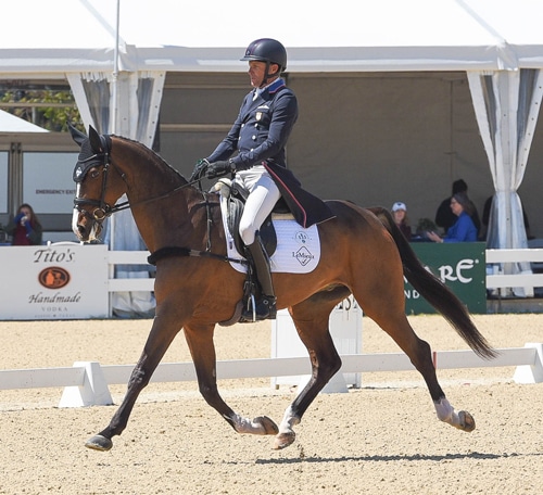A bay horse and rider performing dressage in an arena.