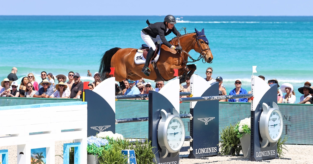 A man jumping a fence on a bay horse with the ocean in the background.
