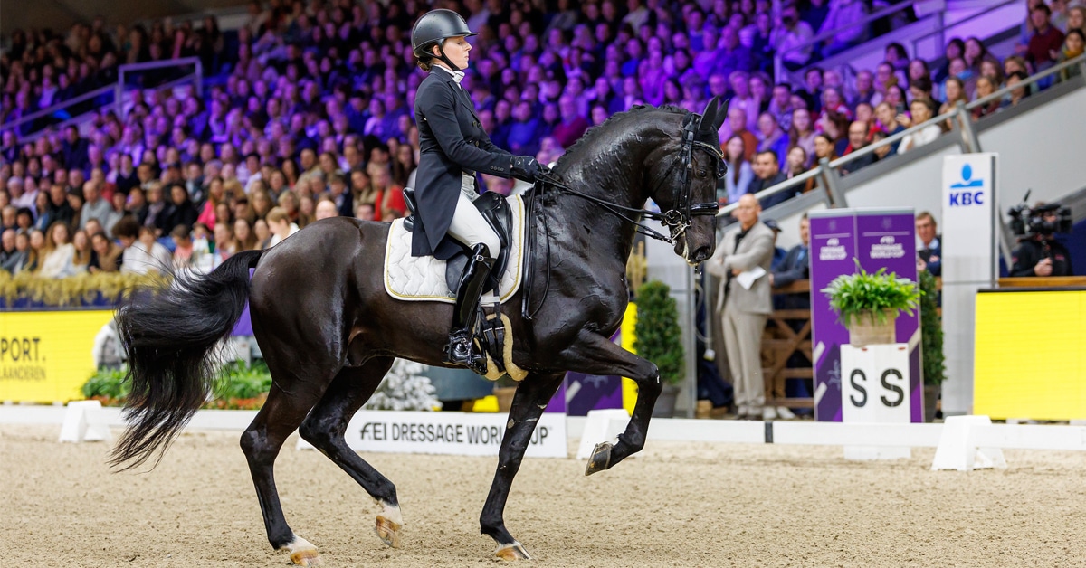 A woman riding a black dressage horse in an arena.