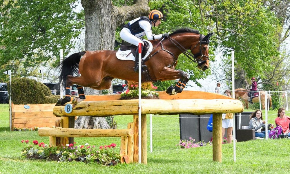 A woman on a bay horse jumping a cross-country fence.