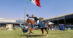 A horse and rider during the victory gallop in Mexico.
