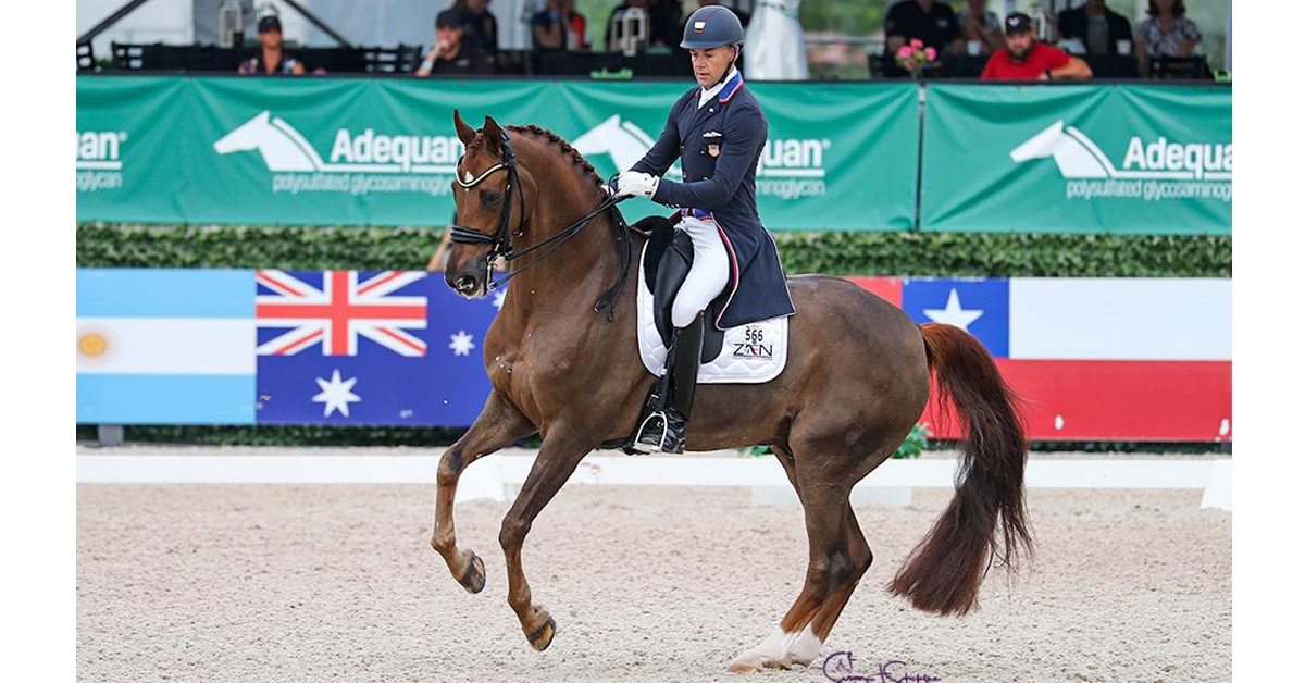 A horse and rider performing a pirouette in a dressage arena.