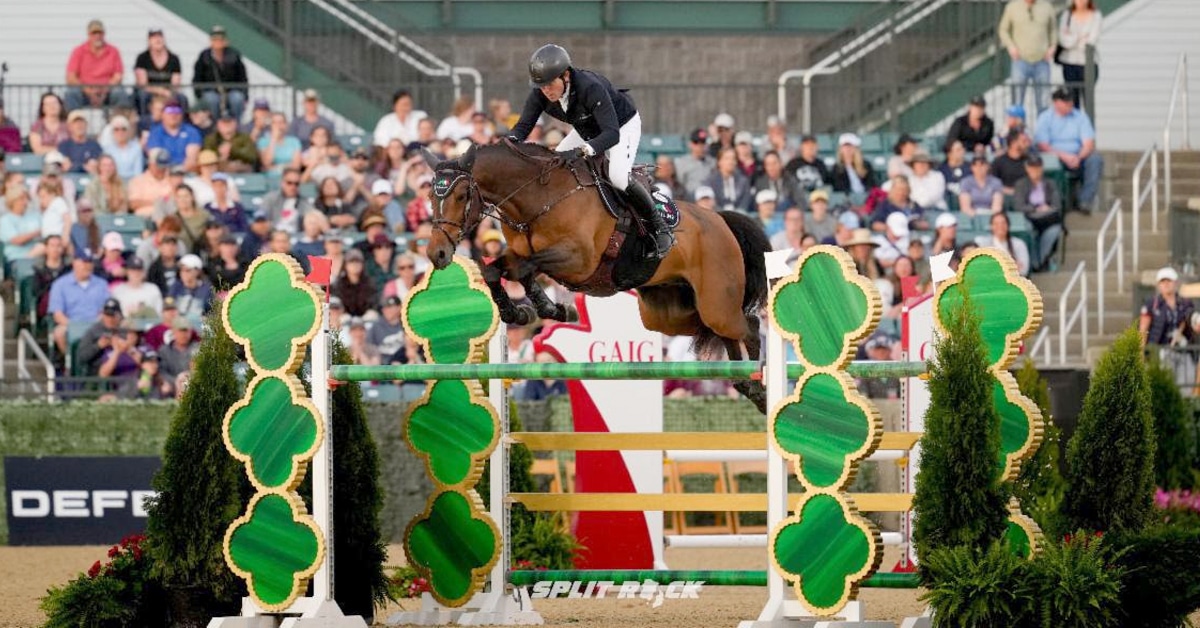 A horse and rider jumping a shamrock fence in Kentucky.
