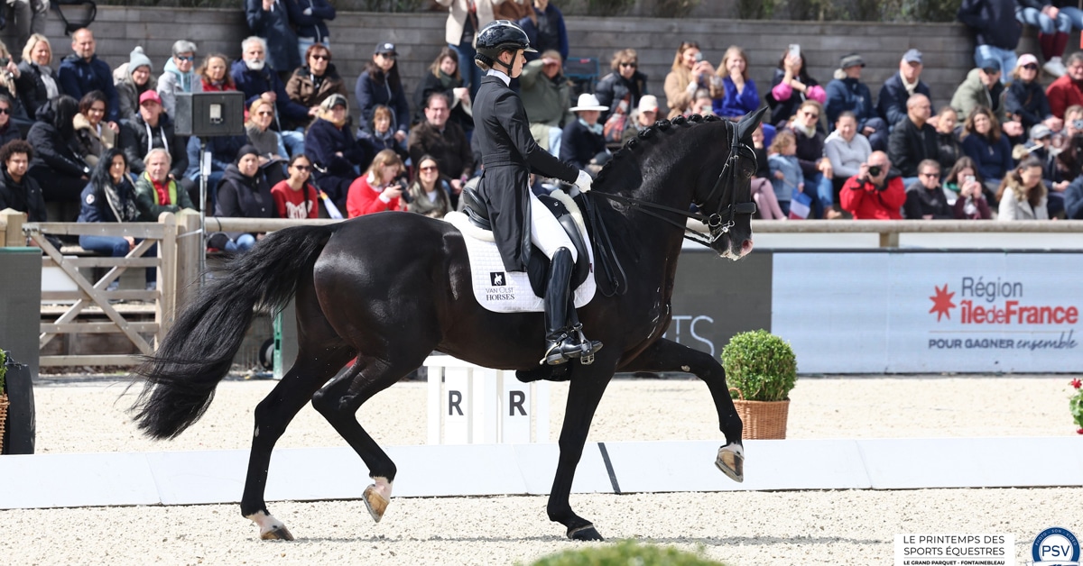 Thumbnail for Fry and Everdale Win Grand Prix Freestyle in Fontainebleau
