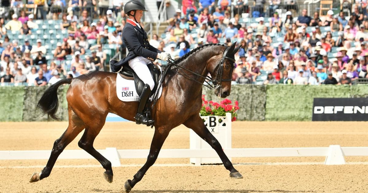 A man riding a bay horse in the dressage phase at Kentucky.