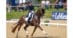 A woman riding a dressage horse at extended trot in competition in England.