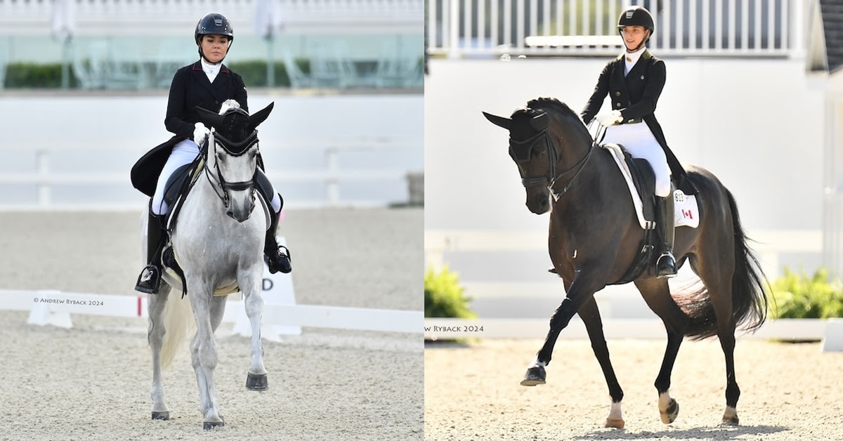 Split screen of a woman riding a grey horse, and another on a dark bay, in a dressage arena.