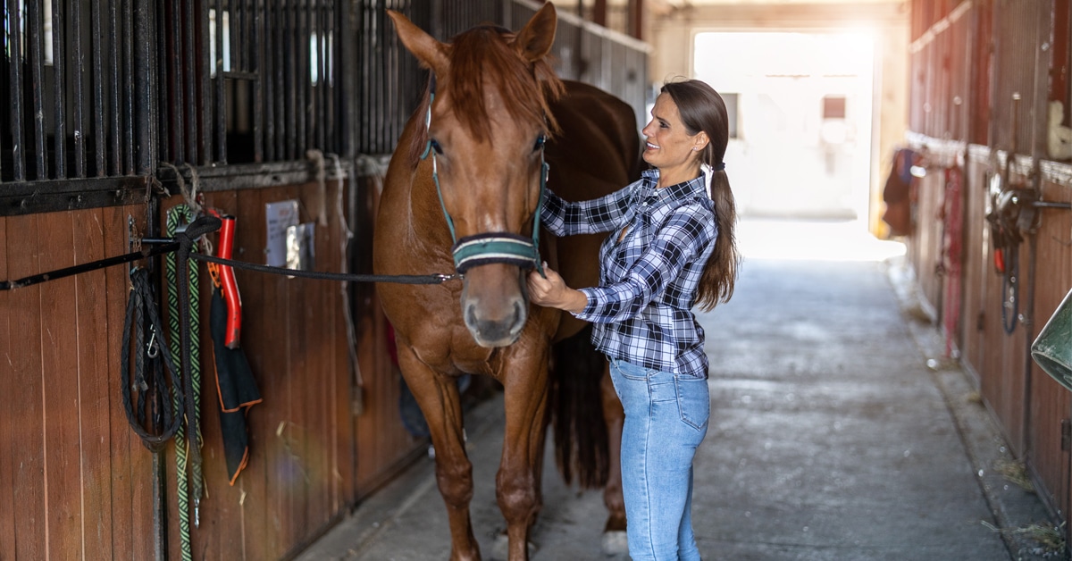 A girl brushing a horse in a barn.