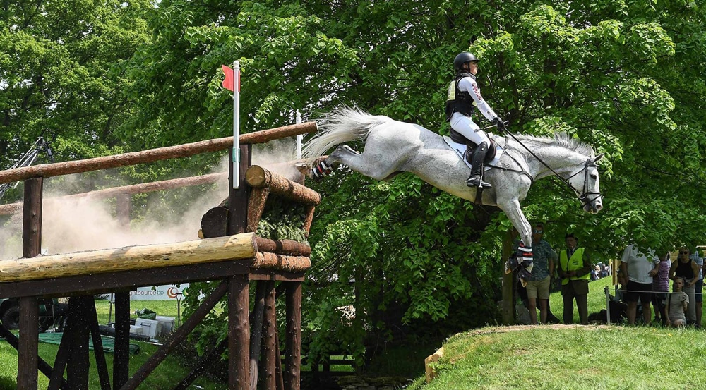 A woman jumping a grey horse over a drop fence.