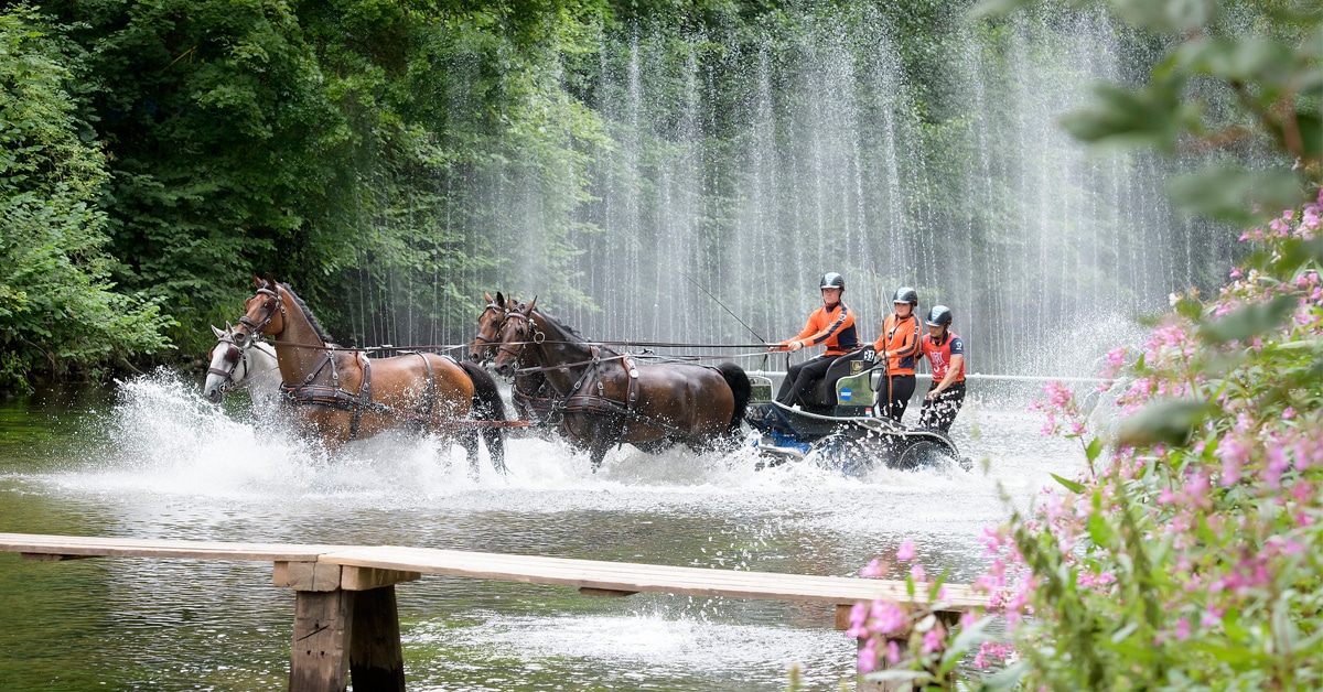 A man driving a four-horse team through the water.
