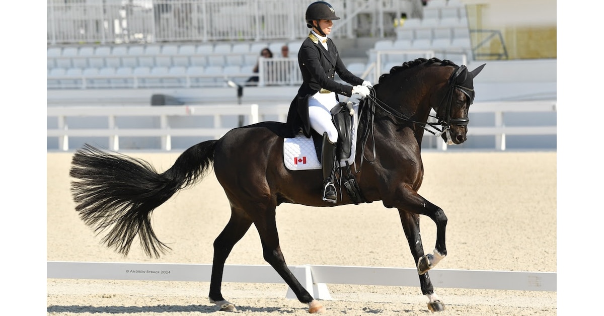 A woman cantering a bay dressage horse in an arena.