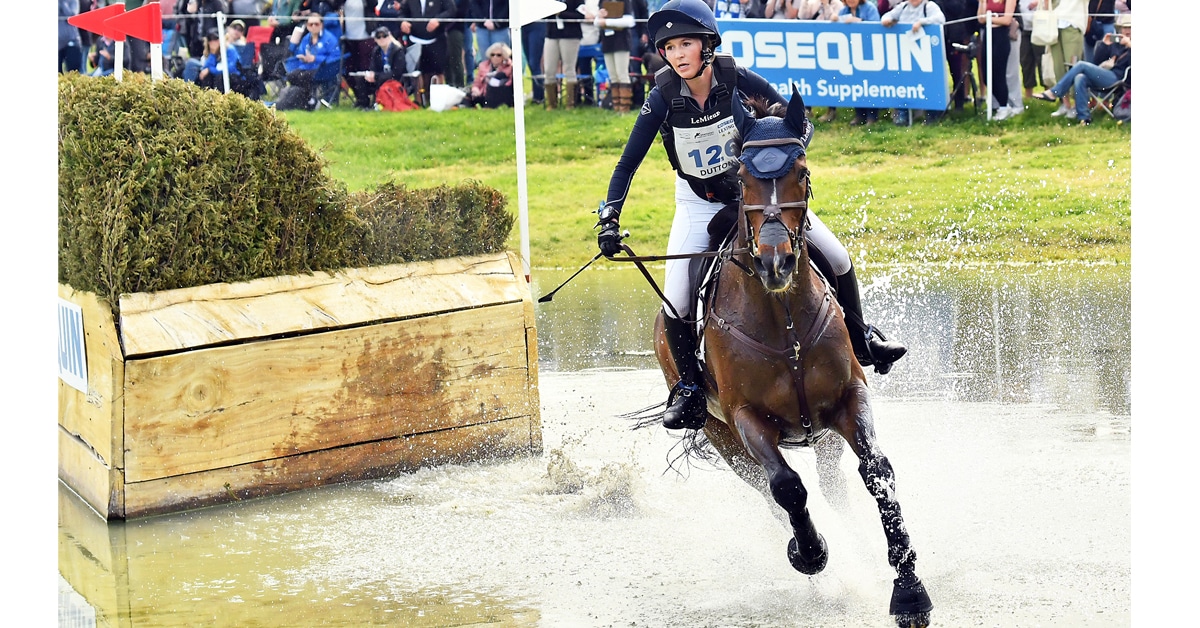 A horse and rider navigating a cross-country water jump.