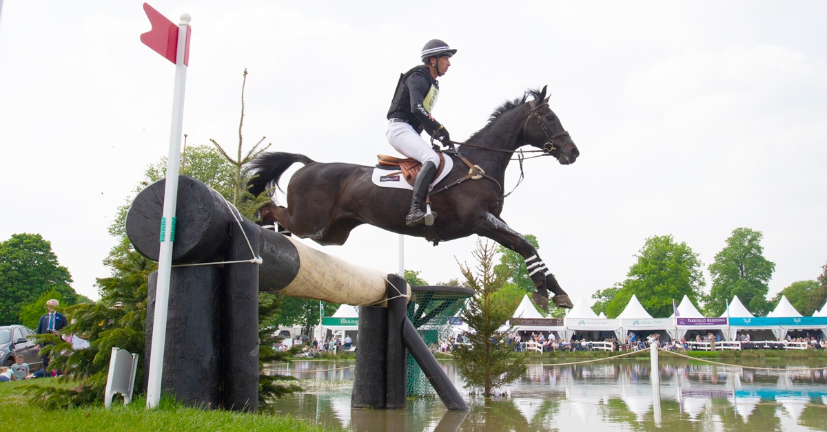 A horse and rider jumping into the water at Badminton.