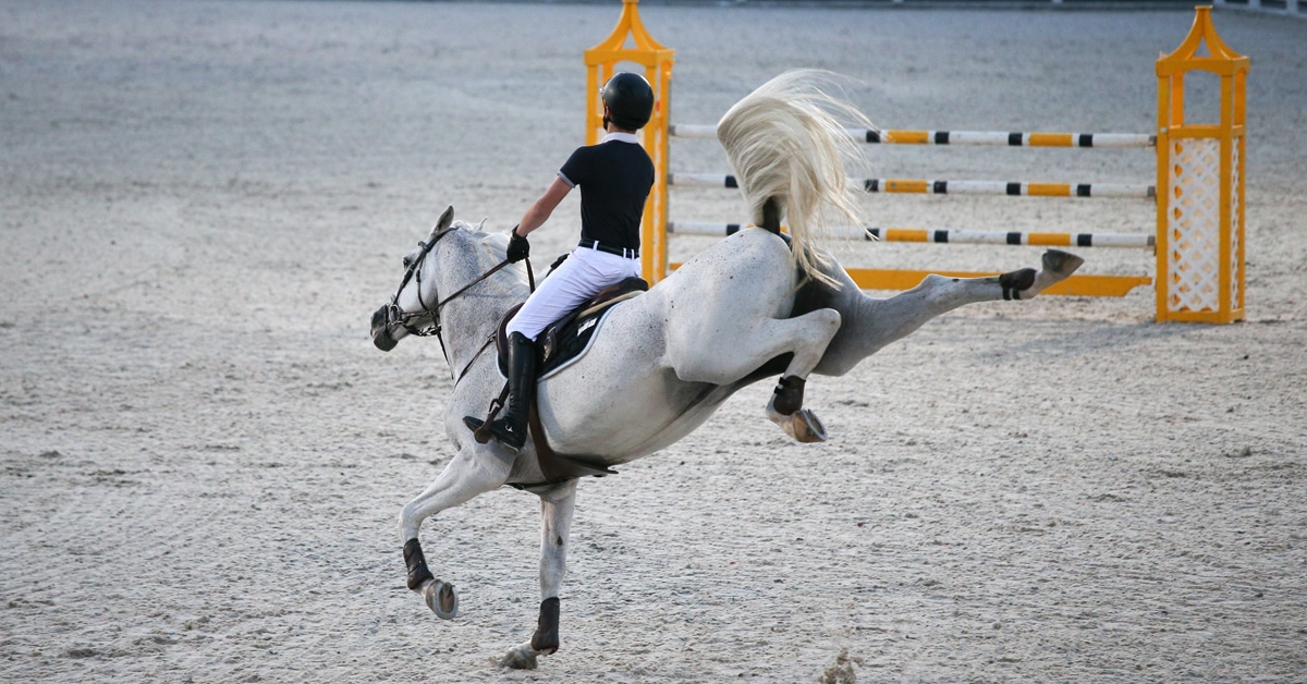 A grey horse bucking in a jumping arena.