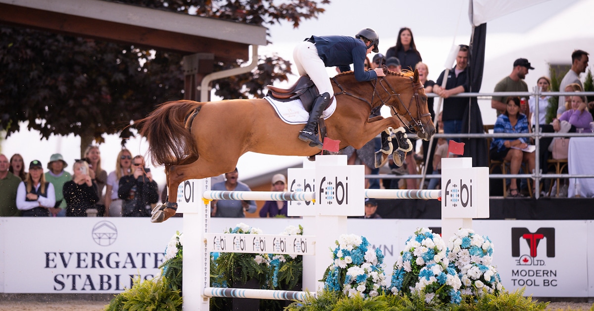 A chestnut horse and rider jumping a fence at tbird.