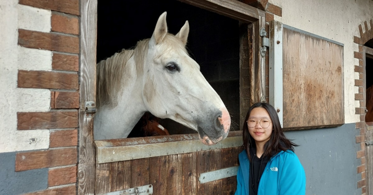 A woman standing beside a grey horse in its stall.