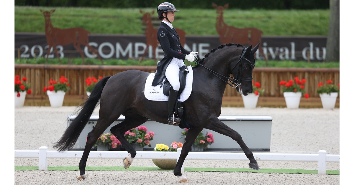 Thumbnail for Horse Abuse Allegations Put Top Dressage Rider Out of Paris